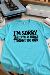 I'm Sorry I Called You An Asshole I Thought You Knew T-Shirt