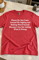 Don't Sigh Around Me. I'm Not Asking What's Wrong T-Shirt