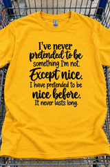 I've Pretended To Be Nice Before It Never Lasts Long T-Shirt