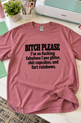 Bitch Please I Pee Glitter And Fart Rainbows T-Shirt