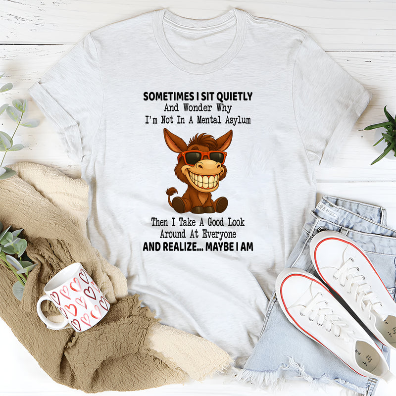Sometimes I Sit Quietly and Wonder I'm Not in an Mental Asylum T Shirt