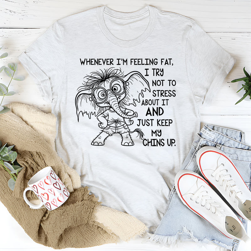 Whenever I’m Feeling Fat I Try Not to Stress About It T-Shirt