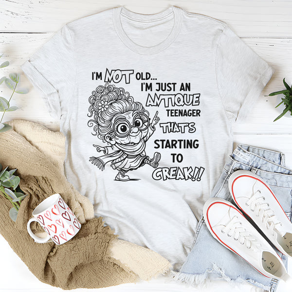 I’m Not Old I’m Just an Antique Teenager T-Shirt