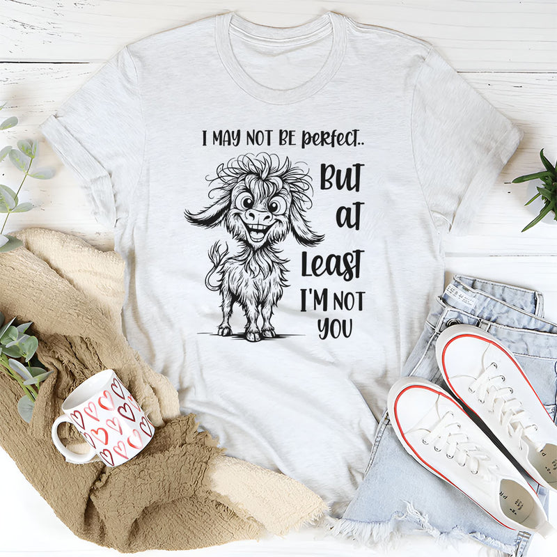 I May Not Be Perfect But At Least I Am Not You T-Shirt