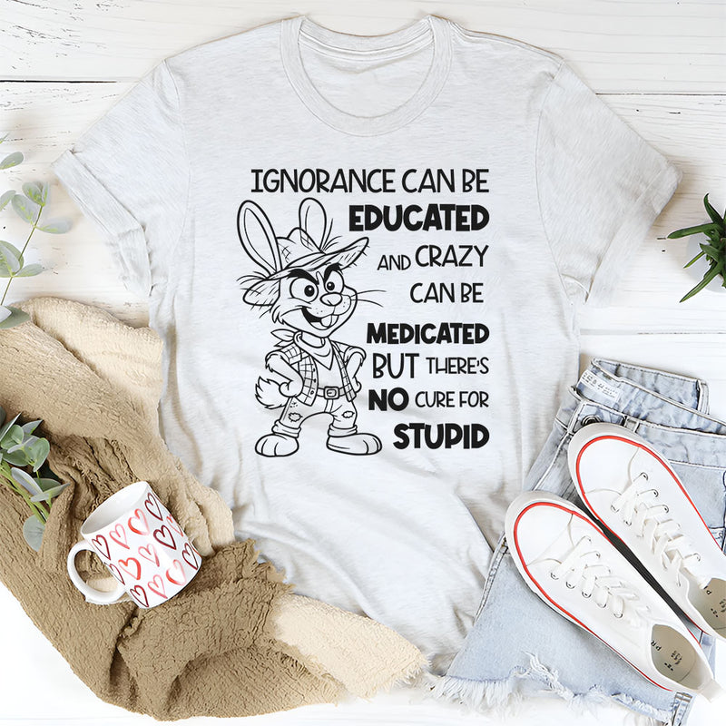 Ignorance Can Be Educated and Crazy Can Be Medicated, But There Is No Cure for Stupid T-Shirt