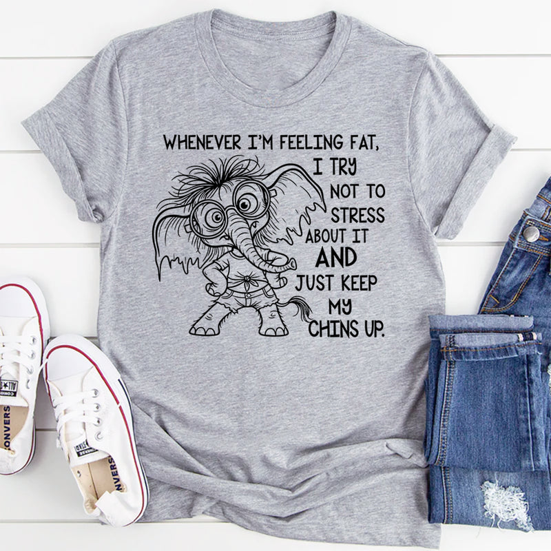 Whenever I’m Feeling Fat I Try Not to Stress About It T-Shirt