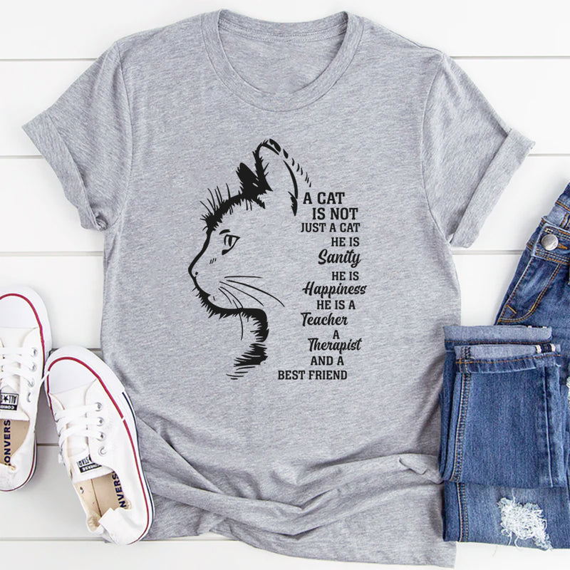 A Cat Is Not Just A Cat He Is Sanity T-Shirt