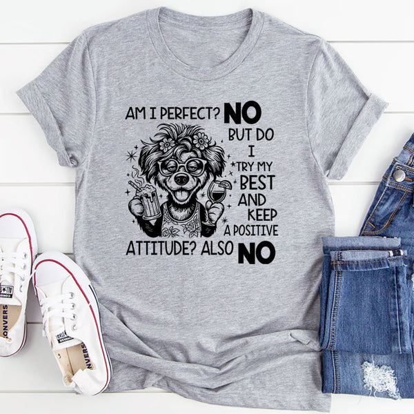 Am I Perfect? No. But Do I Try My Best And Keep A Positive Attitude? Also No T-Shirt