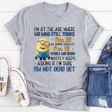 I’m at the Age Where My Mind Still Thinks I’m 29, My Humor Suggests I’m 12, T-Shirt