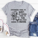 Strangers Think I'm Quiet. My Friends Think I'm Fun. Best Friend Knows I'm Insane T-Shirt