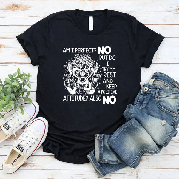 Am I Perfect? No. But Do I Try My Best And Keep A Positive Attitude? Also No T-Shirt