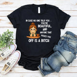 In Case No One Told You You’re Beautiful, and Anyone That Pisses You Off Is a Bitch T-Shirt