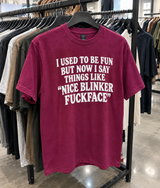I Used To Be Fun But Now I Say Things Like Nice Blinker Fuckface T-Shirt