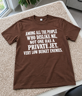 Among All The People Who Dislike Me, Not One Has A Private Jet Very Low Budget Enemies T-Shirt