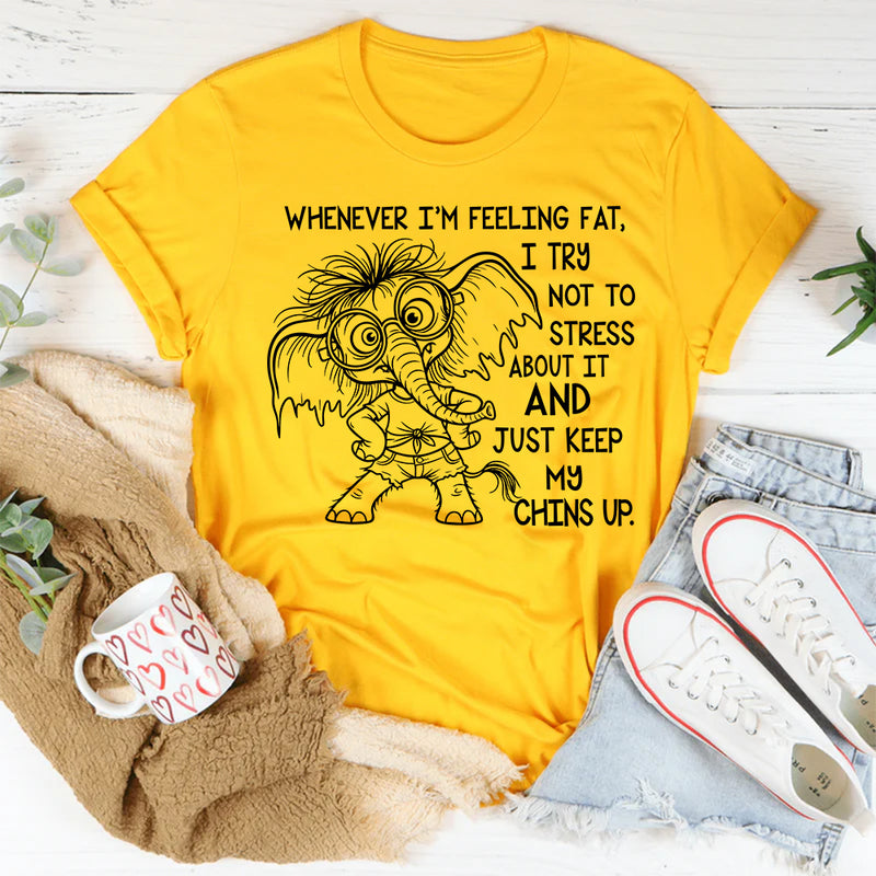 Whenever I’m Feeling Fat I Try Not to Stress About It T-Shirt