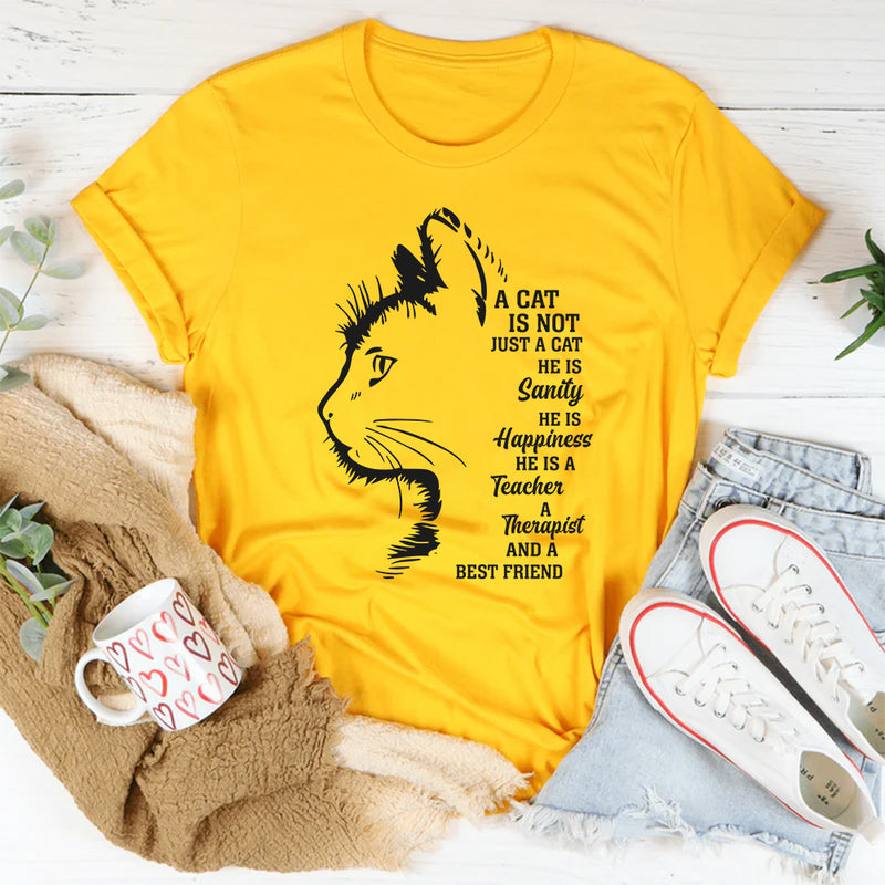 A Cat Is Not Just A Cat He Is Sanity T-Shirt