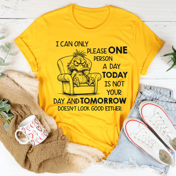 I Can Only Please One Person a Day Today Is Not Your Day T-Shirt