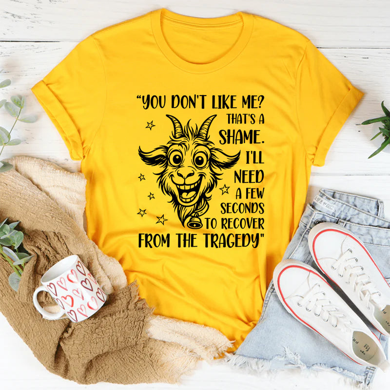You Don’t Like Me, That’s a Shame T-Shirt