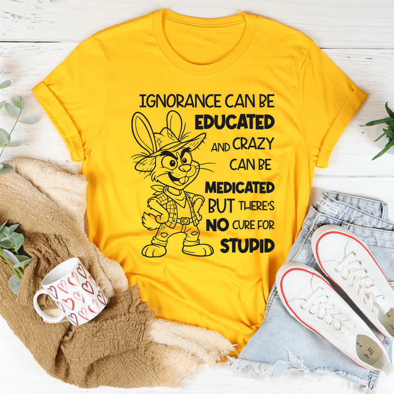 Ignorance Can Be Educated and Crazy Can Be Medicated, But There Is No Cure for Stupid T-Shirt