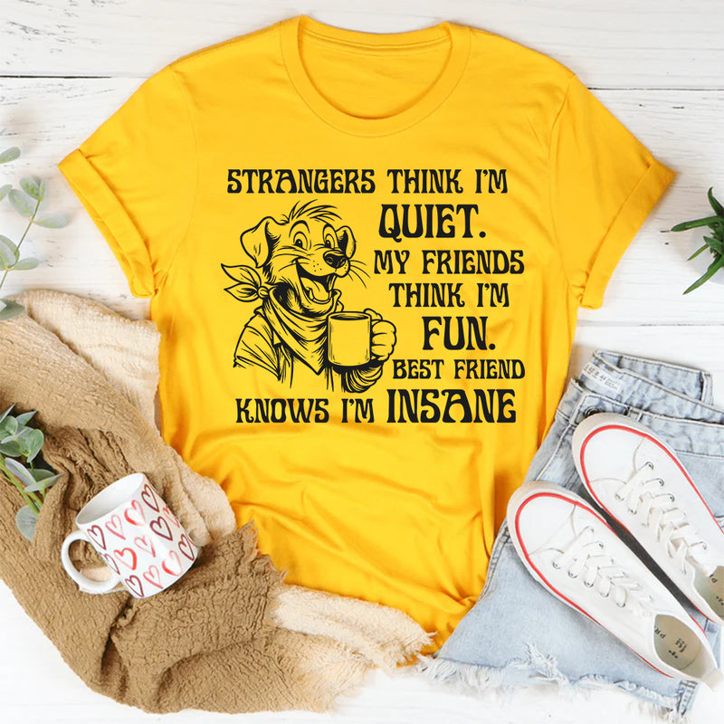 Strangers Think I'm Quiet. My Friends Think I'm Fun. Best Friend Knows I'm Insane T-Shirt