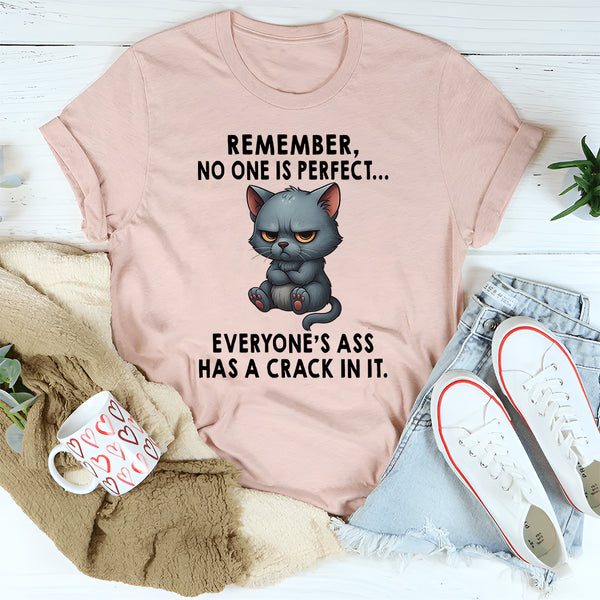 Remember No One Is Perfect T-Shirt