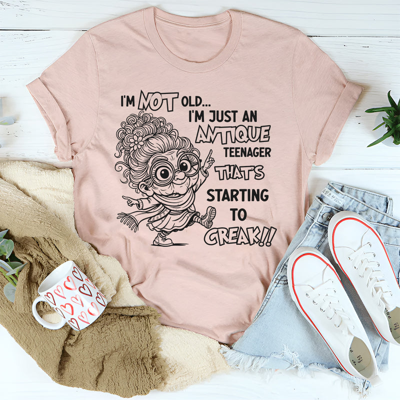I’m Not Old I’m Just an Antique Teenager T-Shirt
