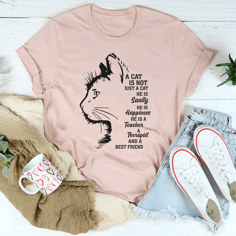 A Cat Is Not Just A Cat He Is Sanity T-Shirt