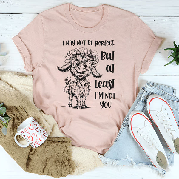I May Not Be Perfect But At Least I Am Not You T-Shirt