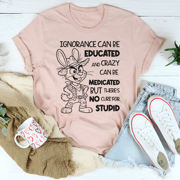 Ignorance Can Be Educated and Crazy Can Be Medicated, But There Is No Cure for Stupid T-Shirt