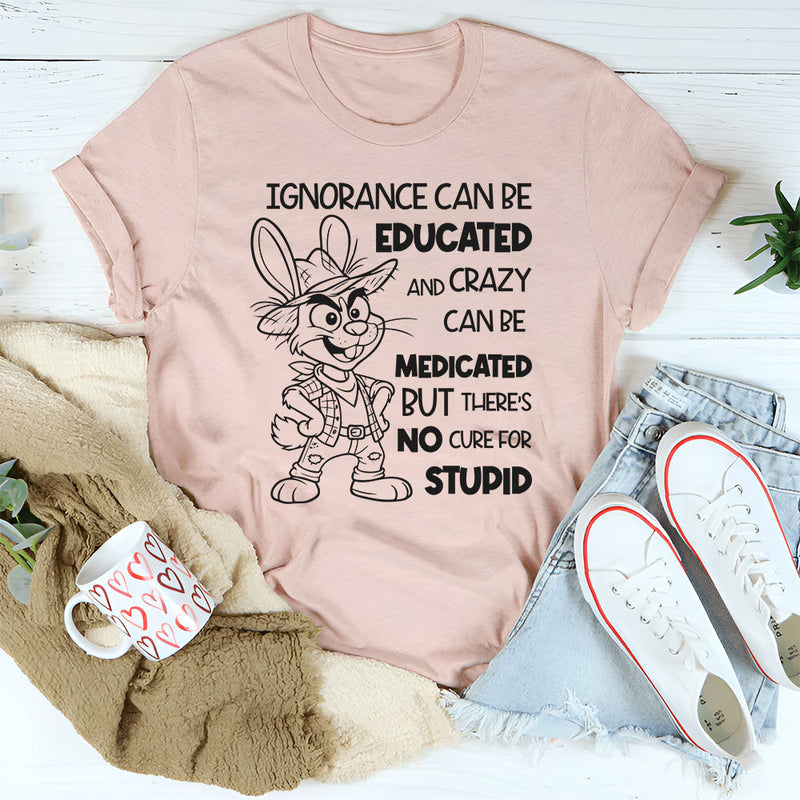 Ignorance Can Be Educated and Crazy Can Be Medicated, But There Is No Cure for Stupid T-Shirt