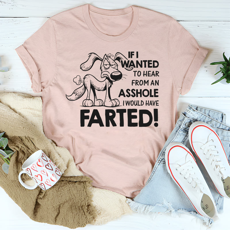 If I Wanted to Hear From an Asshole I Would Have Farted T-Shirt