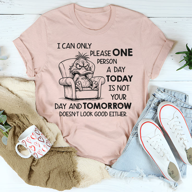 I Can Only Please One Person a Day Today Is Not Your Day T-Shirt