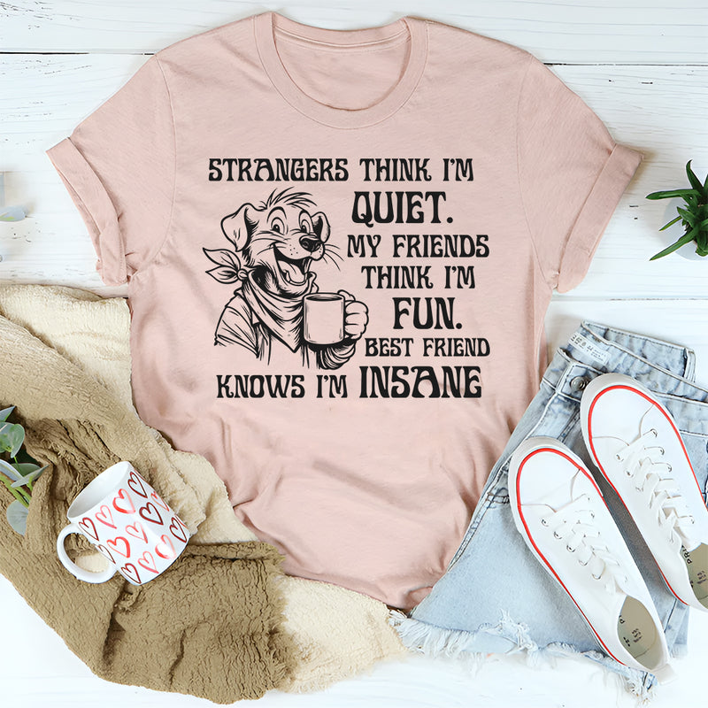 Strangers Think I'm Quiet. My Friends Think I'm Fun. Best Friend Knows I'm Insane T-Shirt