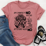 Am I Perfect? No. But Do I Try My Best And Keep A Positive Attitude? Also No T-Shirt