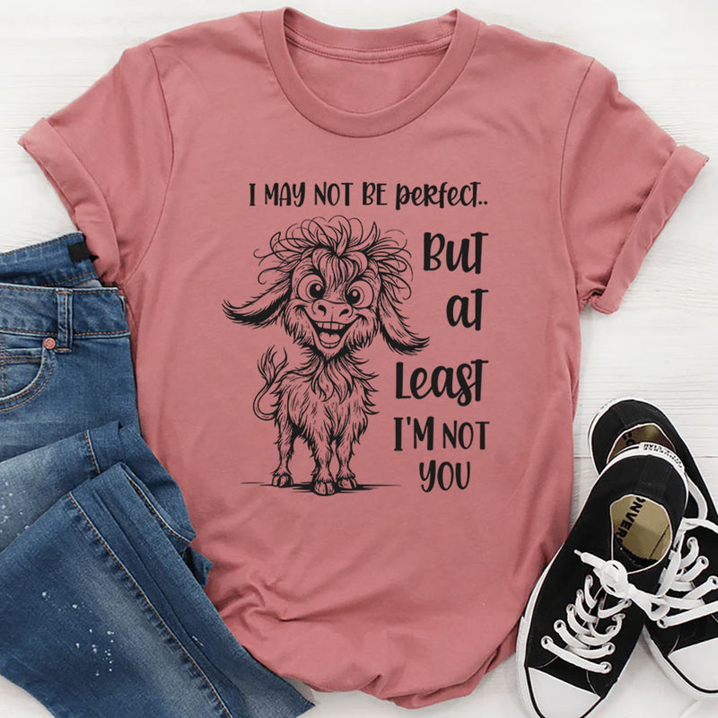 I May Not Be Perfect But At Least I Am Not You T-Shirt