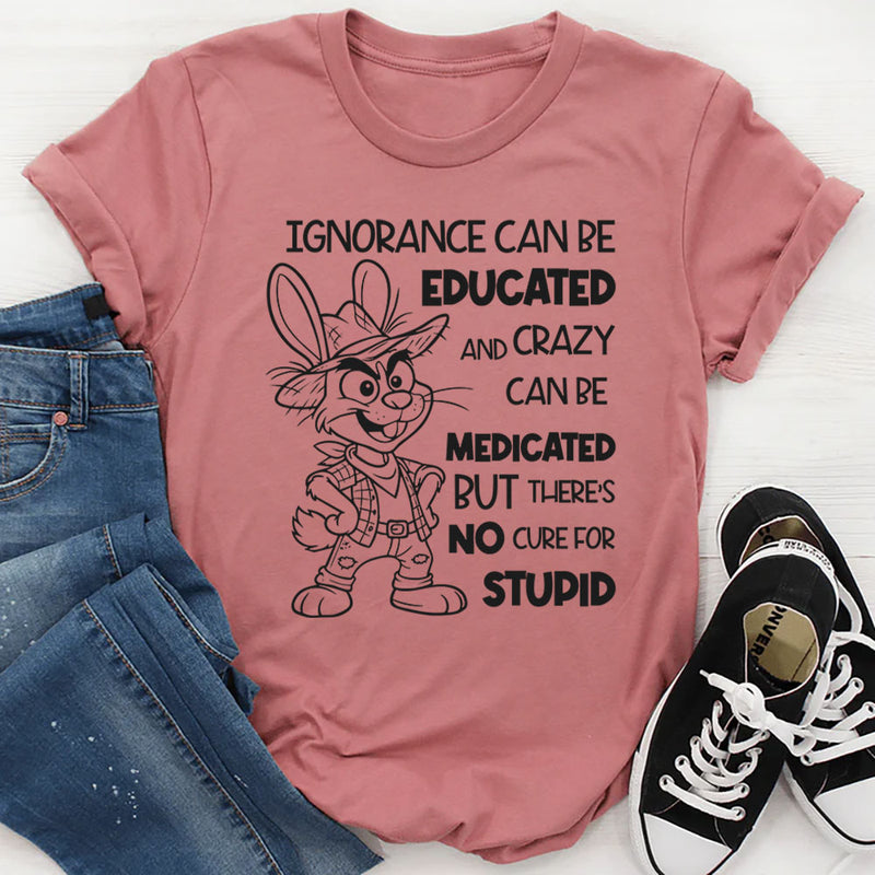 Ignorance Can Be Educated and Crazy Can Be Medicated, But There Is No Cure for Stupid T-Shirt