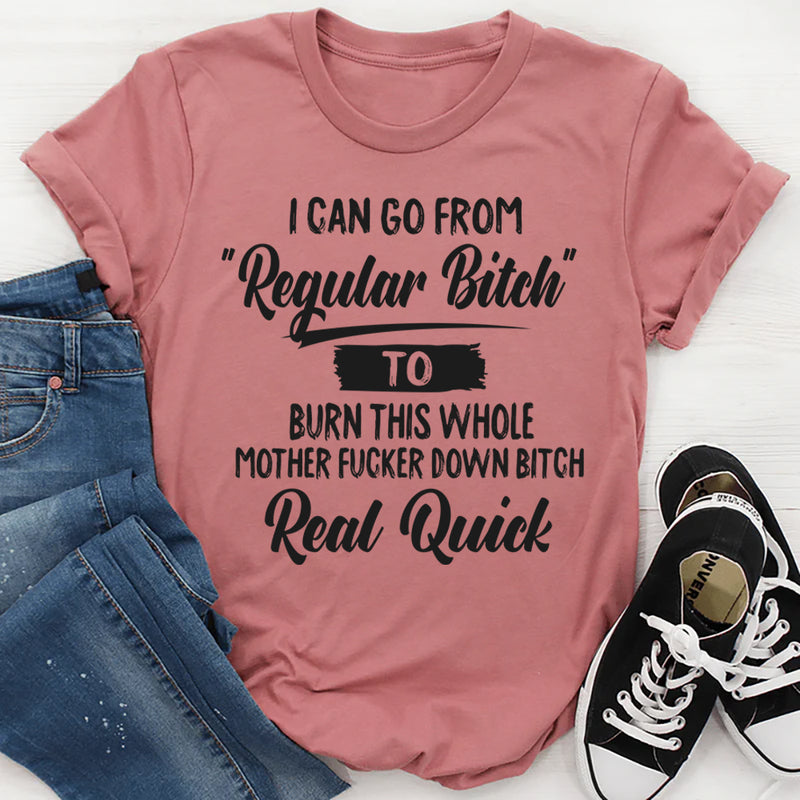 I Can Go From Regular Bit*h To Burn T- Shirt
