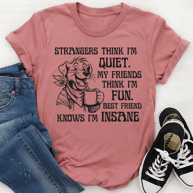 Strangers Think I'm Quiet. My Friends Think I'm Fun. Best Friend Knows I'm Insane T-Shirt