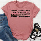 There’s a Good Chance the Thoughts in My Head Will Exit My Mouth Don’t Say I Didn’t Warn You T-Shirt