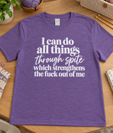 I Can Do All Things Through Spite Which Strengthens The Fuck Out Of Me T-Shirt