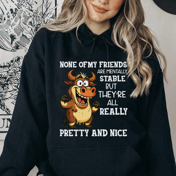 None of My Friends Are Mentally Stable But They’re All Really Pretty and Nice Hoodie