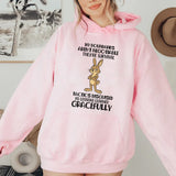 My Boundaries Aren’t Negotiable They’re Survival Tactics Disguised as Lessons Learned Gracefully Hoodie