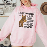 I’m Not Unfriendly, I Just Stopped Entertaining Conversations That Lead Absolutely Nowhere Hoodie