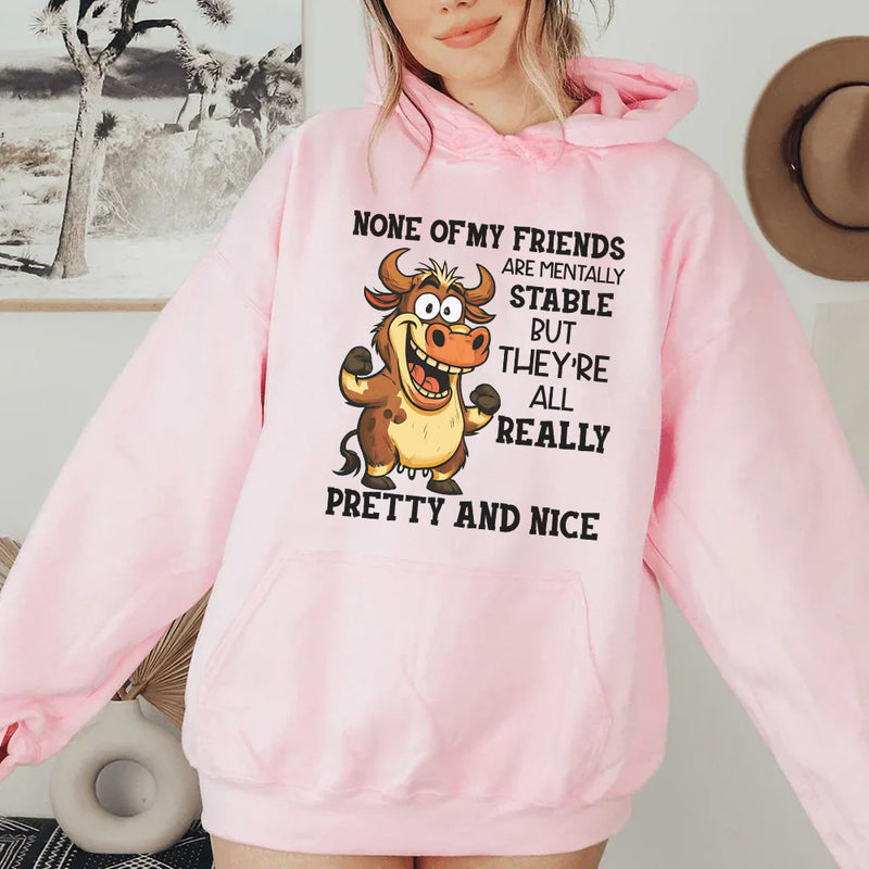 None of My Friends Are Mentally Stable But They’re All Really Pretty and Nice Hoodie