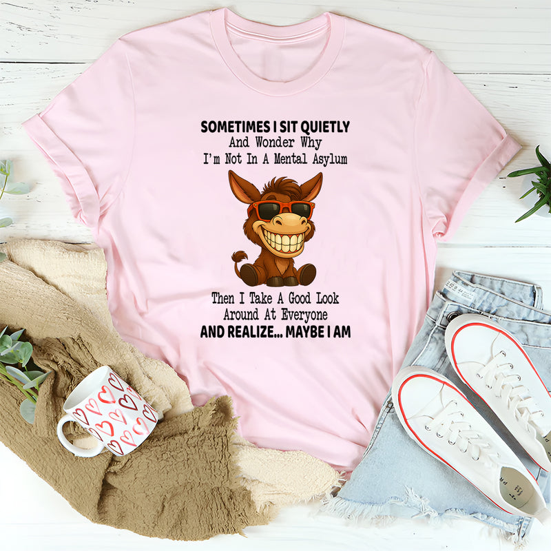 Sometimes I Sit Quietly and Wonder I'm Not in an Mental Asylum T Shirt