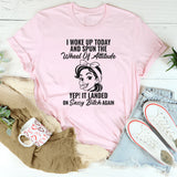 I Woke Up Today And Spun The Wheel Of Attitude T-Shirt