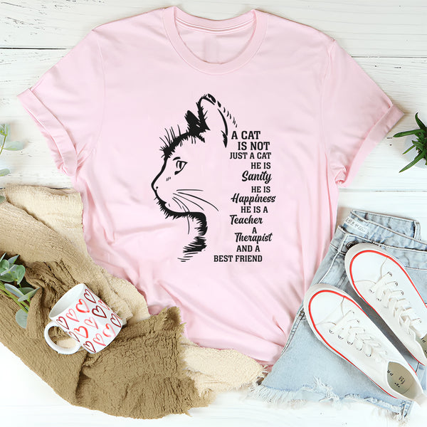 A Cat Is Not Just A Cat He Is Sanity T-Shirt