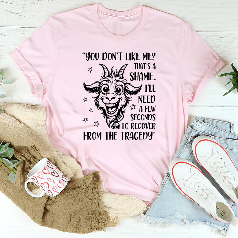 You Don’t Like Me, That’s a Shame T-Shirt