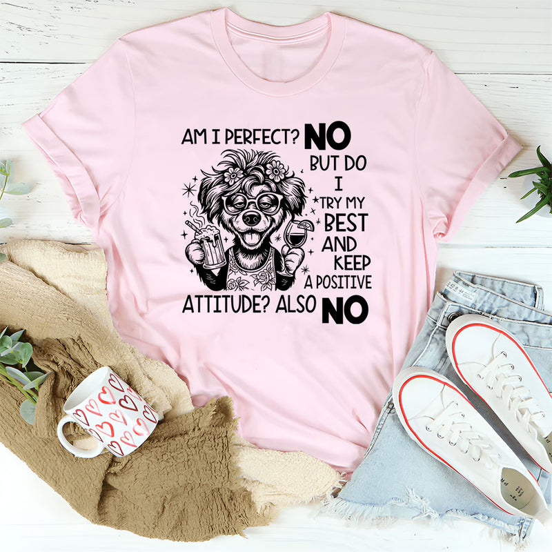 Am I Perfect? No. But Do I Try My Best And Keep A Positive Attitude? Also No T-Shirt