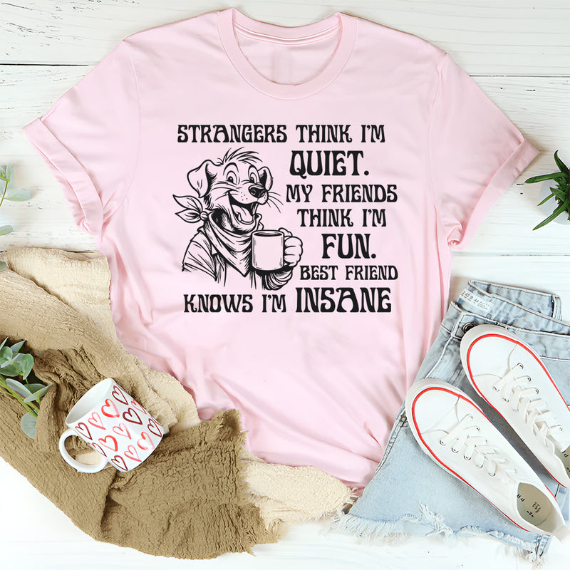 Strangers Think I'm Quiet. My Friends Think I'm Fun. Best Friend Knows I'm Insane T-Shirt